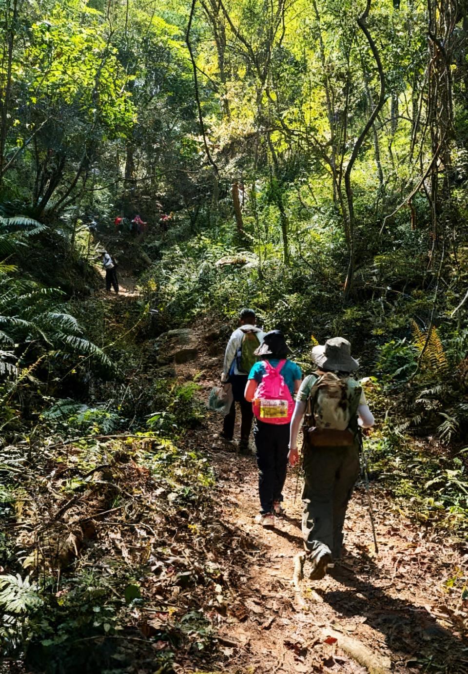针对这条推 针对这条推